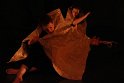 Journees Theatrales 2015 Arentele Vie Papier_002